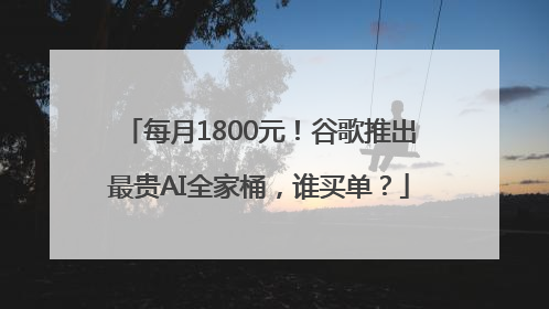 每月1800元！谷歌推出最贵AI全家桶，谁买单？