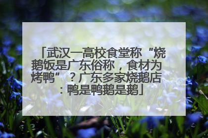 武汉一高校食堂称“烧鹅饭是广东俗称，食材为烤鸭”？广东多家烧鹅店：鸭是鸭鹅是鹅