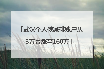 武汉个人碳减排账户从3万暴涨至160万
