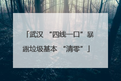 武汉 “四线一口”暴露垃圾基本 “清零”