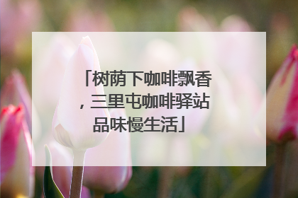 树荫下咖啡飘香，三里屯咖啡驿站品味慢生活