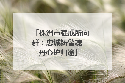 株洲市强戒所向群：忠诚铸警魂 丹心护归途