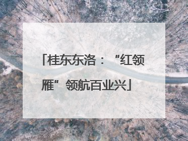 桂东东洛：“红领雁”领航百业兴