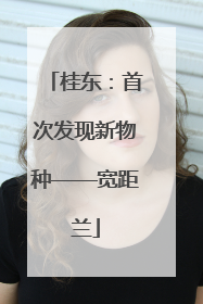 桂东：首次发现新物种——宽距兰