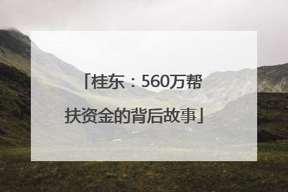 桂东：560万帮扶资金的背后故事