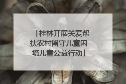 桂林开展关爱帮扶农村留守儿童困境儿童公益行动