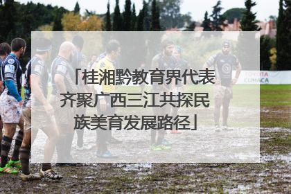 桂湘黔教育界代表齐聚广西三江共探民族美育发展路径