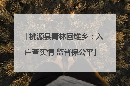 桃源县青林回维乡：入户查实情 监督保公平