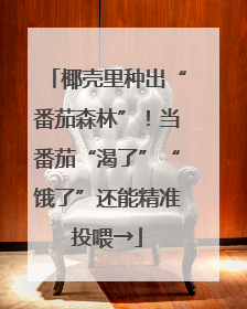 椰壳里种出“番茄森林”！当番茄“渴了”“饿了”还能精准投喂→