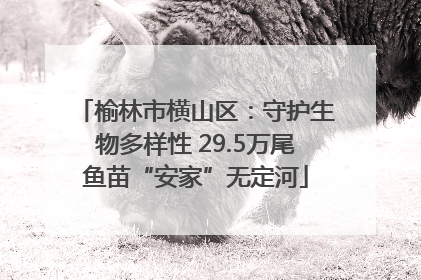 榆林市横山区：守护生物多样性 29.5万尾鱼苗“安家”无定河