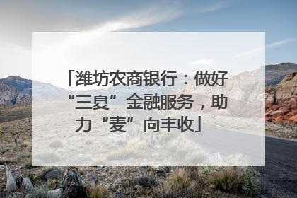 潍坊农商银行：做好“三夏”金融服务，助力“麦”向丰收