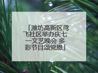 潍坊高新区鸢飞社区举办庆七一文艺晚会 多彩节目颂党恩