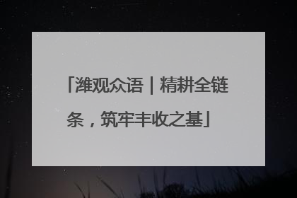 潍观众语｜精耕全链条，筑牢丰收之基