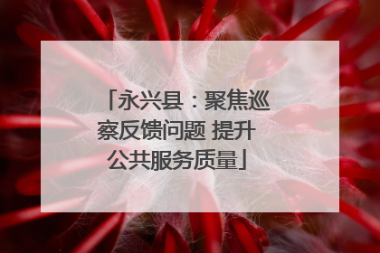 永兴县：聚焦巡察反馈问题 提升公共服务质量