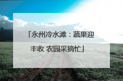 永州冷水滩：蔬果迎丰收 农园采摘忙