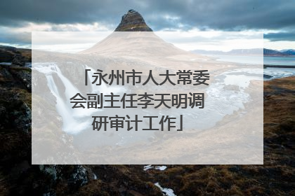 永州市人大常委会副主任李天明调研审计工作