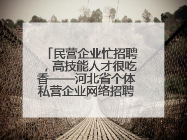 民营企业忙招聘，高技能人才很吃香——河北省个体私营企业网络招聘大会扫描