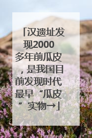 汉遗址发现2000多年前瓜皮，是我国目前发现时代最早“瓜皮”实物→