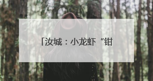 汝城：小龙虾“钳”动旅游日 理学名城焕发新活力
