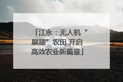 江永：无人机“展翅”农田 开启高效农业新篇章
