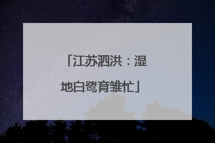 江苏泗洪：湿地白鹭育雏忙