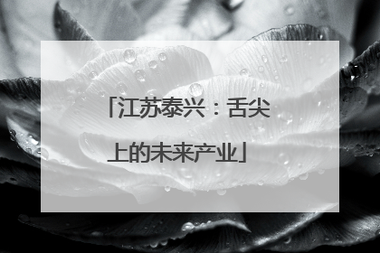 江苏泰兴：舌尖上的未来产业