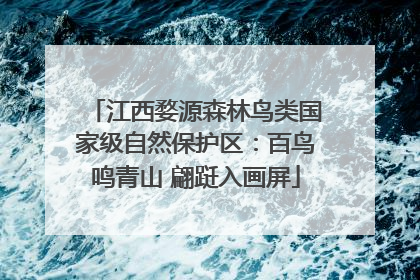 江西婺源森林鸟类国家级自然保护区：百鸟鸣青山 翩跹入画屏