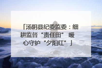 汤阴县纪委监委：细耕监督“责任田” 暖心守护“夕阳红”