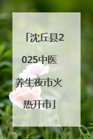 沈丘县2025中医养生夜市火热开市