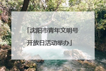沈阳市青年文明号开放日活动举办