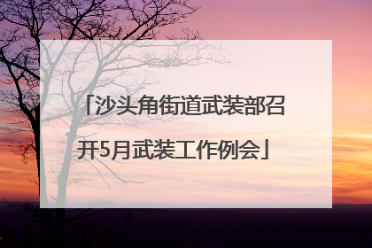 沙头角街道武装部召开5月武装工作例会