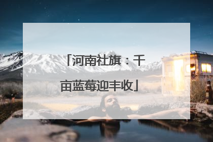 河南社旗：千亩蓝莓迎丰收