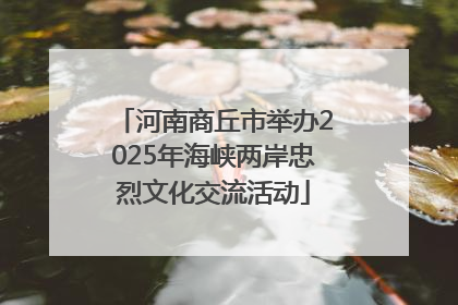 河南商丘市举办2025年海峡两岸忠烈文化交流活动