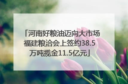 河南好粮油迈向大市场 福建粮洽会上签约38.5万吨揽金11.5亿元