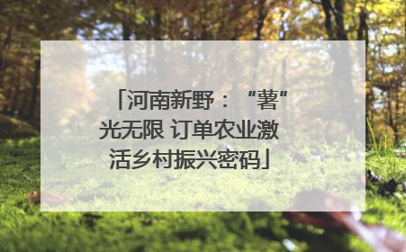 河南新野：“薯”光无限 订单农业激活乡村振兴密码