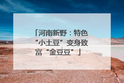 河南新野：特色“小土豆”变身致富“金豆豆”