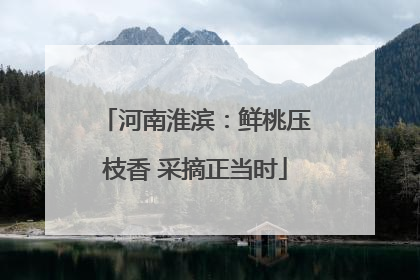河南淮滨：鲜桃压枝香 采摘正当时