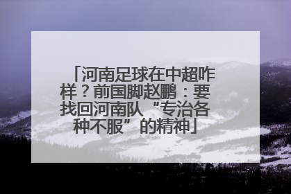 河南足球在中超咋样？前国脚赵鹏：要找回河南队“专治各种不服”的精神