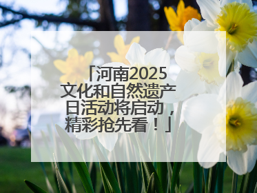 河南2025文化和自然遗产日活动将启动，精彩抢先看！