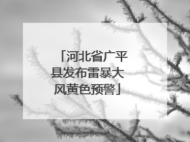 河北省广平县发布雷暴大风黄色预警