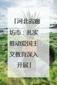 河北省廊坊市：扎实推动爱国主义教育深入开展