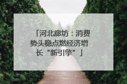 河北廊坊：消费势头稳点燃经济增长“新引擎”