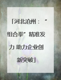 河北沧州：“组合拳”精准发力 助力企业创新突破