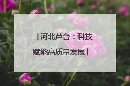 河北芦台：科技赋能高质量发展