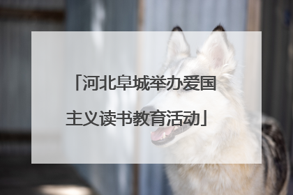 河北阜城举办爱国主义读书教育活动