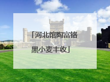河北馆陶富铬黑小麦丰收