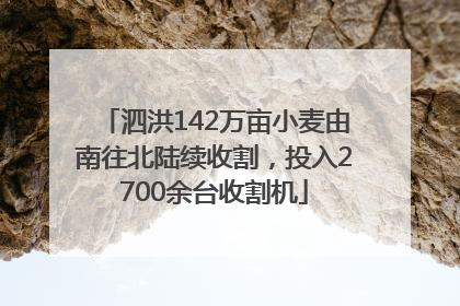 泗洪142万亩小麦由南往北陆续收割，投入2700余台收割机