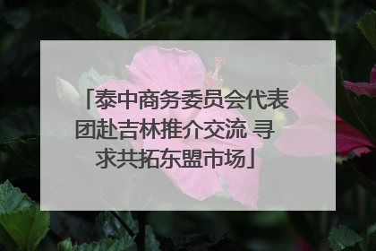 泰中商务委员会代表团赴吉林推介交流 寻求共拓东盟市场