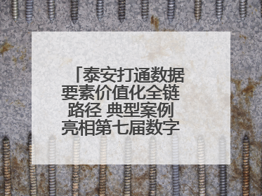 泰安打通数据要素价值化全链路径 典型案例亮相第七届数字中国建设峰会