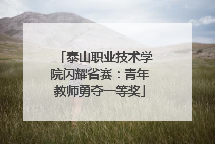 泰山职业技术学院闪耀省赛：青年教师勇夺一等奖